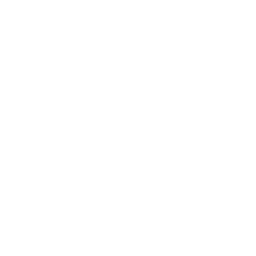 File:Mods Underbarrel.png