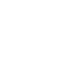File:ItemCategory Gadget.png