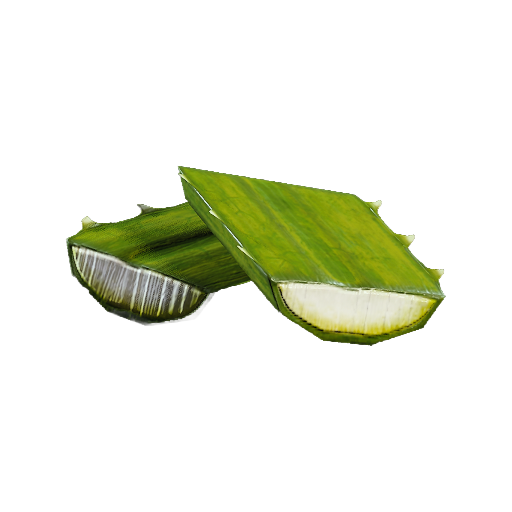 File:Agave.png