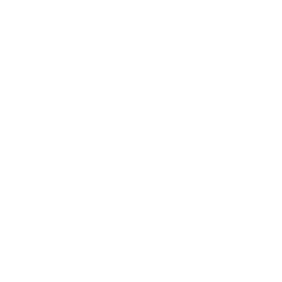 File:Icon Loot Security.png