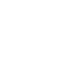 File:Icon Loot Raider.png