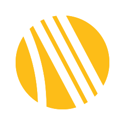 File:Icon Raider Token.png