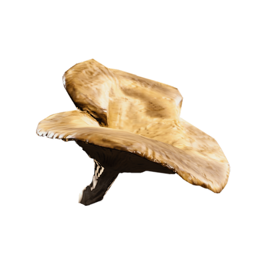 File:Mushroom.png