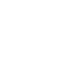 File:Ammo Energy.png