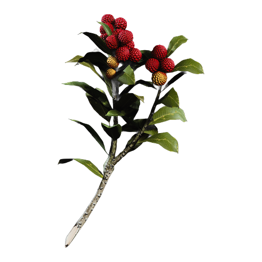 File:Candleberries.png