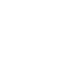File:Ammo Light.png