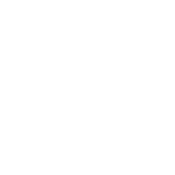 File:Ammo Medium.png