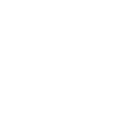 File:Mods Tech-Mod.png