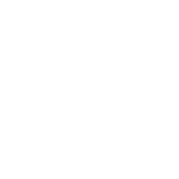 File:Mods Stock.png