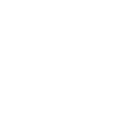 File:ItemCategory Shield.png