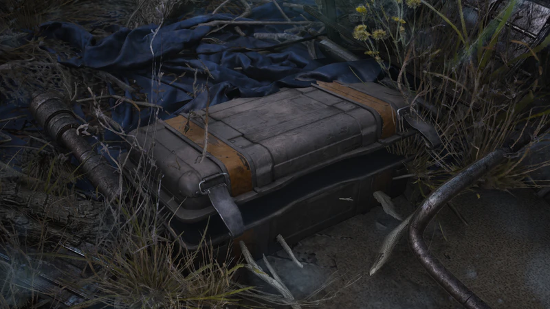 File:First Wave Cache.jpg