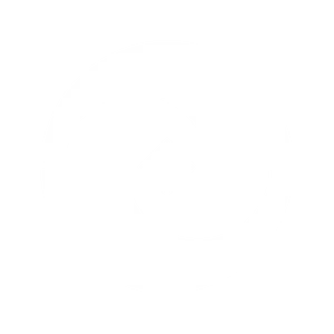 IconARC Surveyor.png