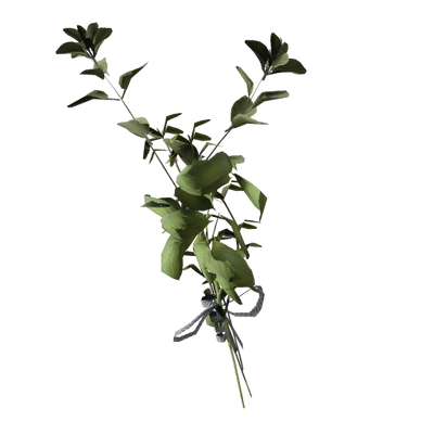 Great Mullein