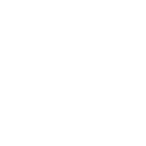 File:Icon Blast-Born V2.png