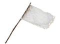 Thumbnail for version as of 06:55, 1 May 2026