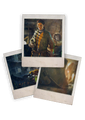Thumbnail for version as of 21:26, 10 October 2026