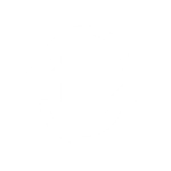 File:Icon Ability Defensive.png