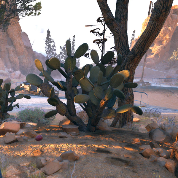 File:Prickly Pear Cactus.png