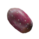 Prickly Pear