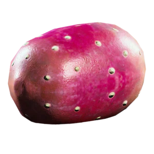Prickly Pear.png