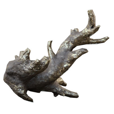 Fossilized Lightning