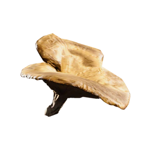 Mushroom.png