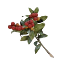 Candleberries