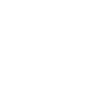 IconARC Sentinel.png