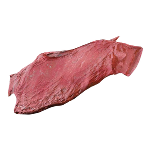 Tattered Clothes.png