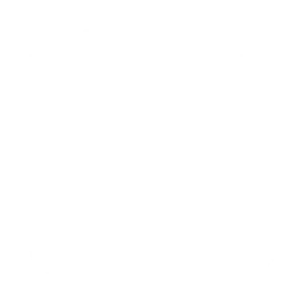 File:Icon Mod ShotgunMag.png