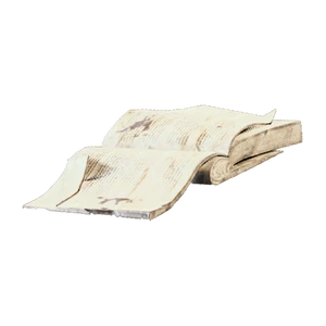 Torn Book.png