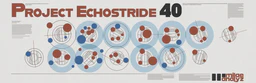 Project Echostride 40 Poster