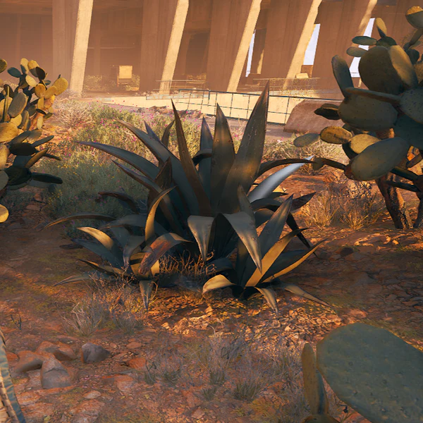 File:Agave Plant.png