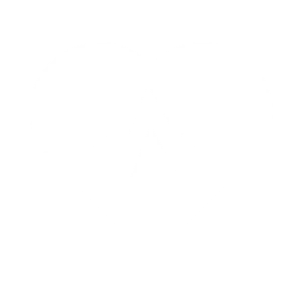 File:Icon Ability Survivor.png