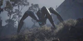 Thumbnail for version as of 19:11, 26 May 2025