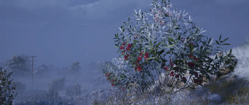 File:Cold Snap map condition.png